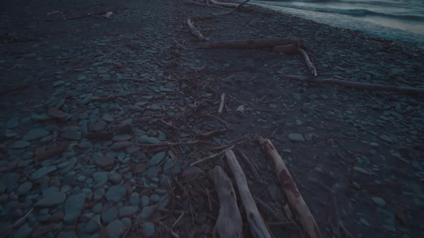 A large driftwood log with exposed roots lies on a rocky shoreline at dusk