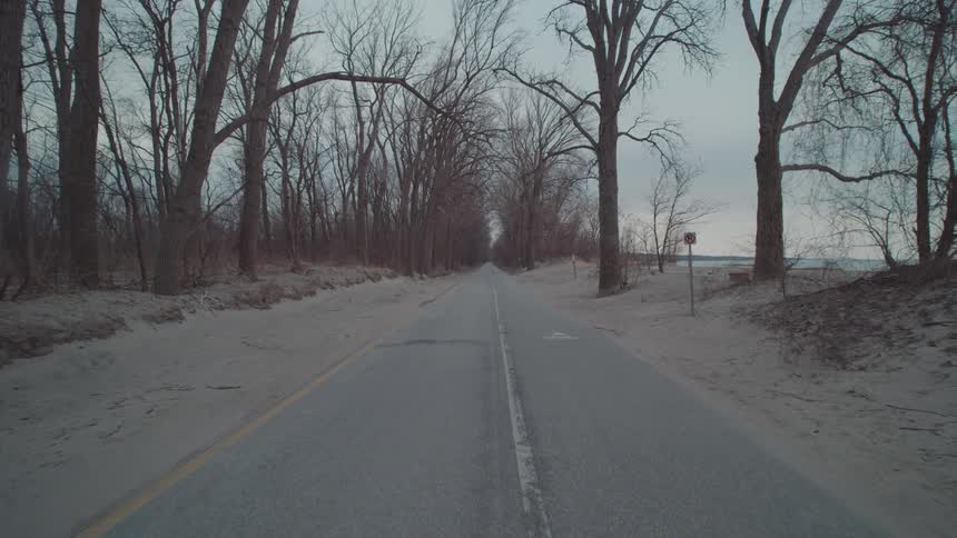An empty road cuts through a leafless forest under a gray sky