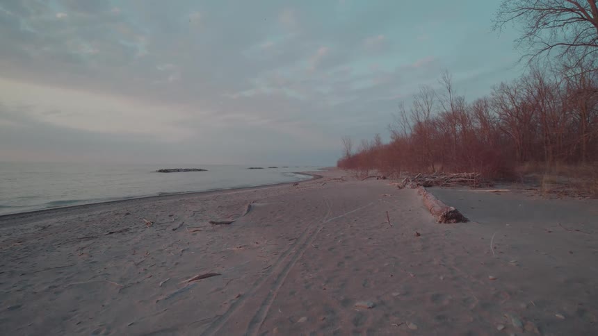 The trees along a beach have turned colors in the fall