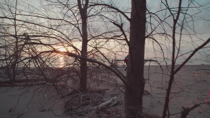A man is taking pictures of driftwood on the beach