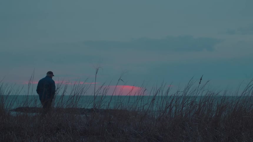 A person takes a photo of the sunset through tall grass