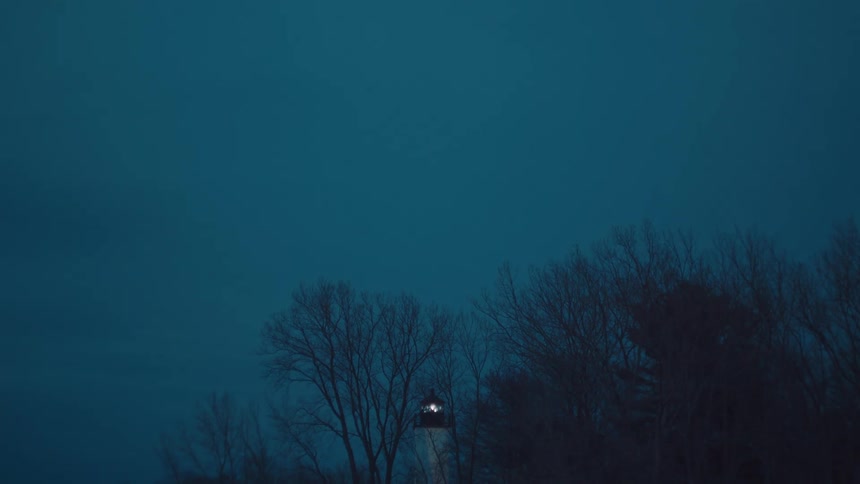 Lighthouse lighting up in the background at night and trees in the foreground