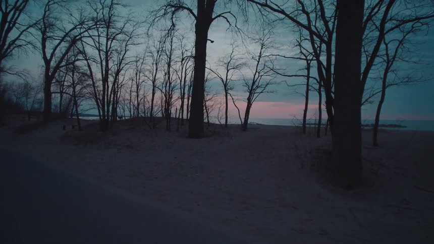 Leafless tree silhouettes in front of a sunrise with pink hues