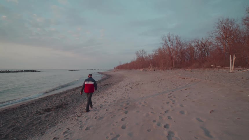 A man walks alone along a quiet beach lined with bare trees under a soft cloudy sky