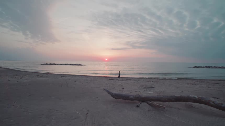 Tranquil beach at dawn with sunrise and driftwood on sand