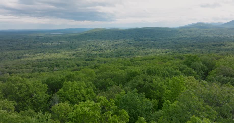 Low skim over a vast green forest stretching toward distant rolling hills in upstate New York