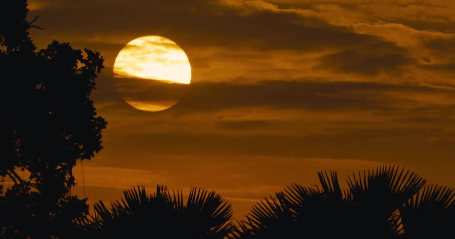 A bright sun sets behind dramatic clouds with silhouetted tropical trees in the foreground