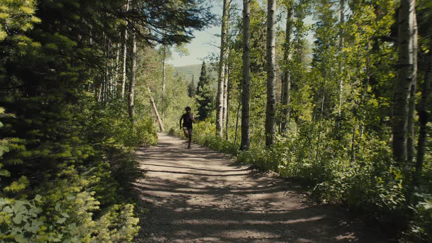 A person runs alone on a forest trail surrounded by tall trees