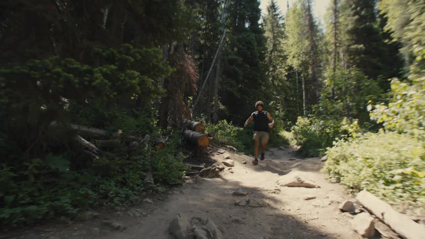 A person runs along a forest trail bathed in sunlight passing by fallen logs and lush greenery before emerging to see other hikers ahead
