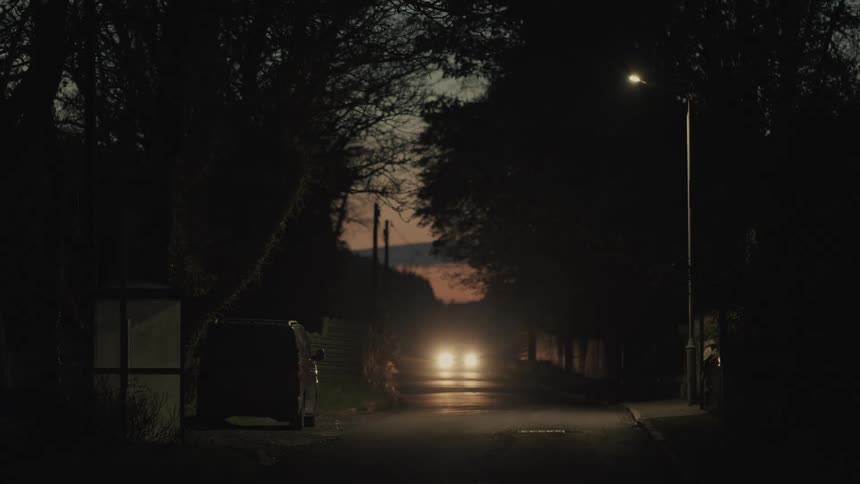 A car with headlights on approaches through a dark tree lined street at dusk