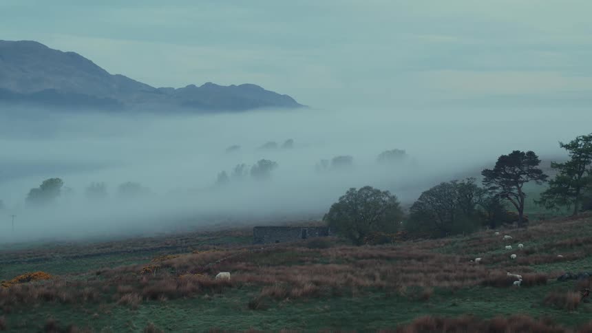 A misty rural valley with scattered sheep and trees beneath distant mountains