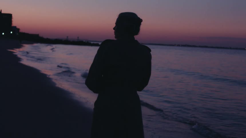 Silhouetted person stands on a beach at sunset gazing at the ocean