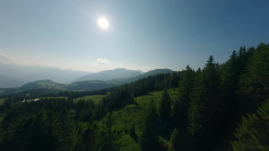 FPV Drone Flies Through Conifers Unveiling Alpine Mountains in Switzerland
