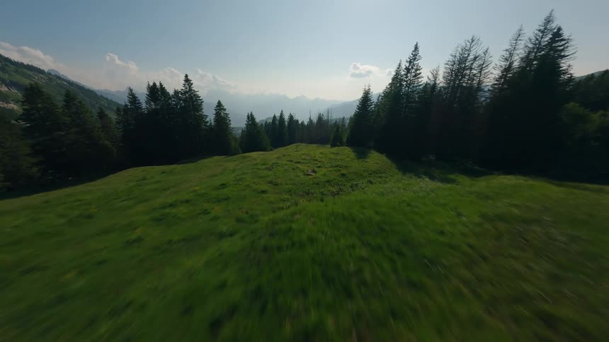 FPV Drone Flies Low Through Fog and Trees in Switzerland