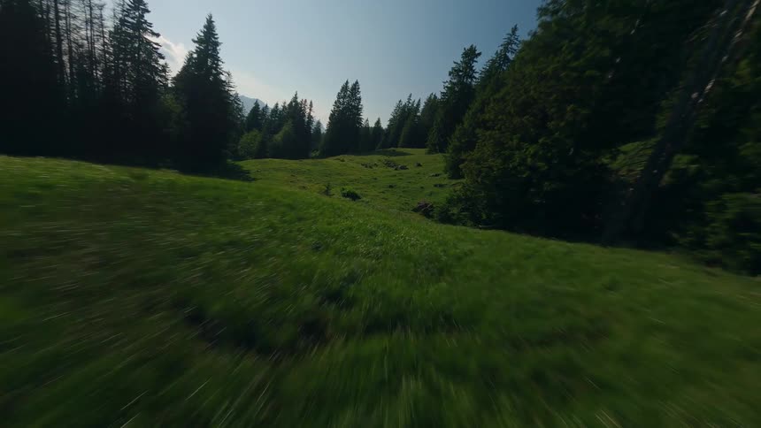 Drone Flight Through a Swiss Forest and Green Hills