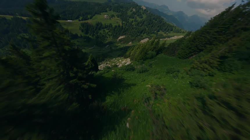 Drone Flies Down an Alpine Swiss Mountain Covered in Conifers