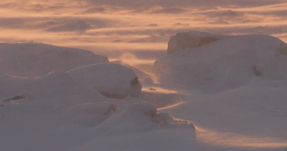 Wind blowing snow across the ground in snow covered wilderness