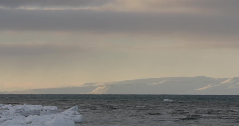 A bird flies over icy water