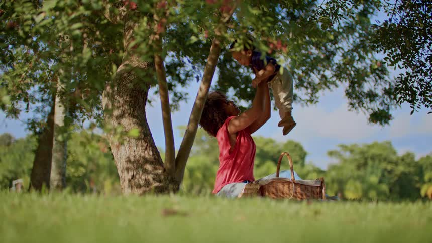 A woman lifts a toddler playfully during a picnic under a tree in a sunny park