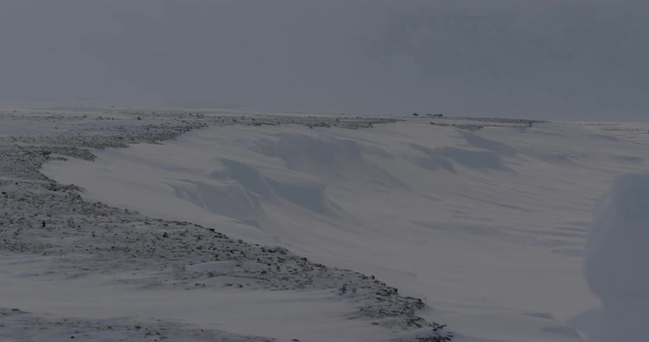 Snow and ice cover the landscape