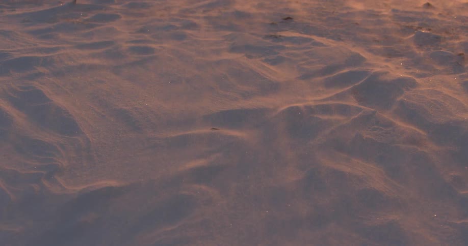 The wind blows sand on the ground at sunset