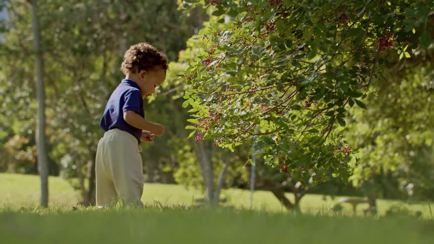 Little boy walking on grass in trees with fruits