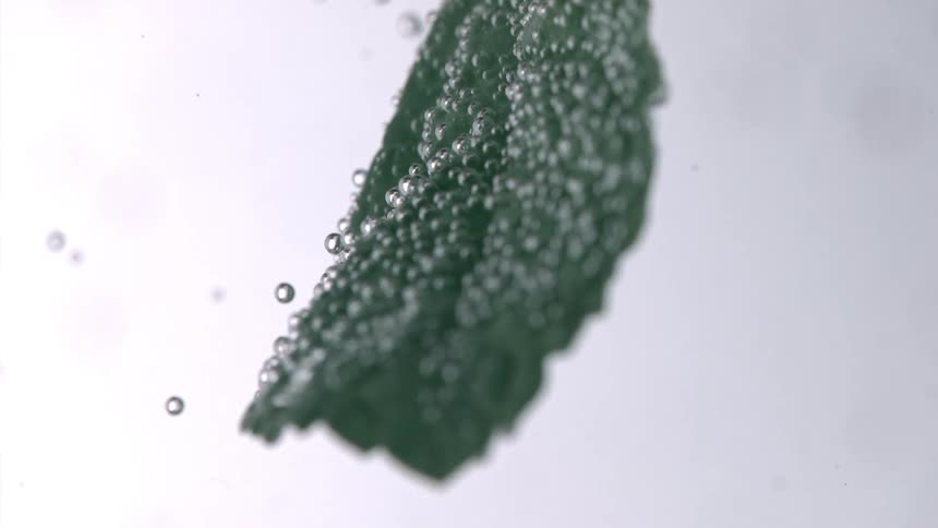 Water droplets fall off of and float around a leaf turning around in water