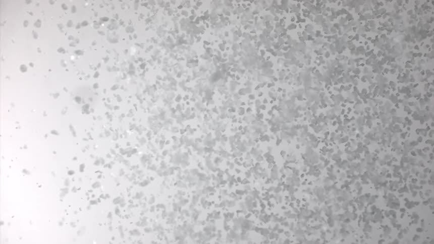 Overhead view of coarse white crystalline salt particles suspended over a light gray surface