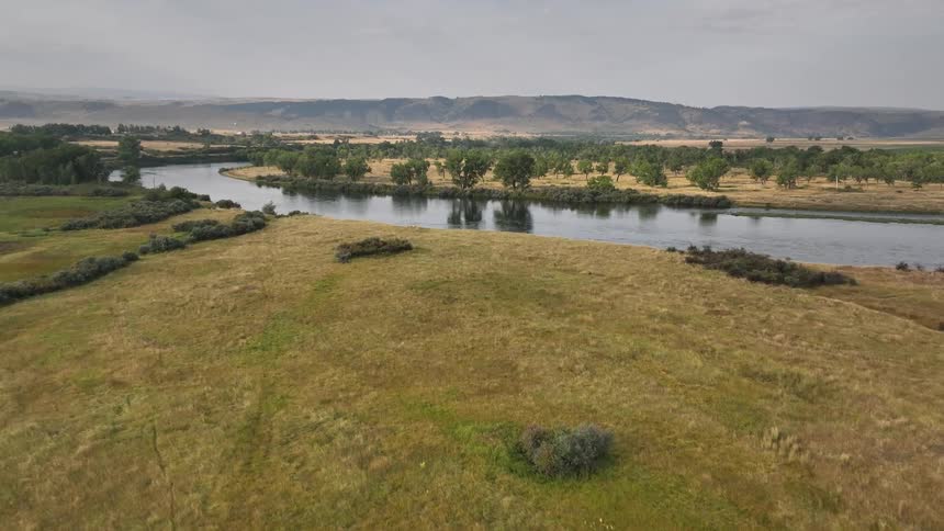 A serene river winds through open grasslands with scattered trees under an overcast sky