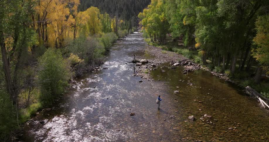 Two people fishing in a shallow river flanked by forest on both sides