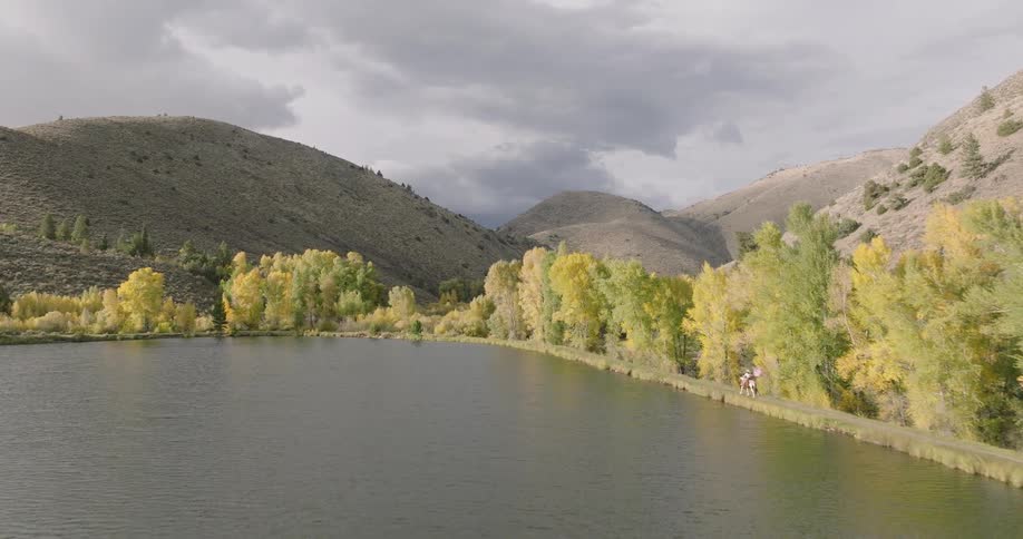 A person riding on the back of a horse flies moves a path next to a lake