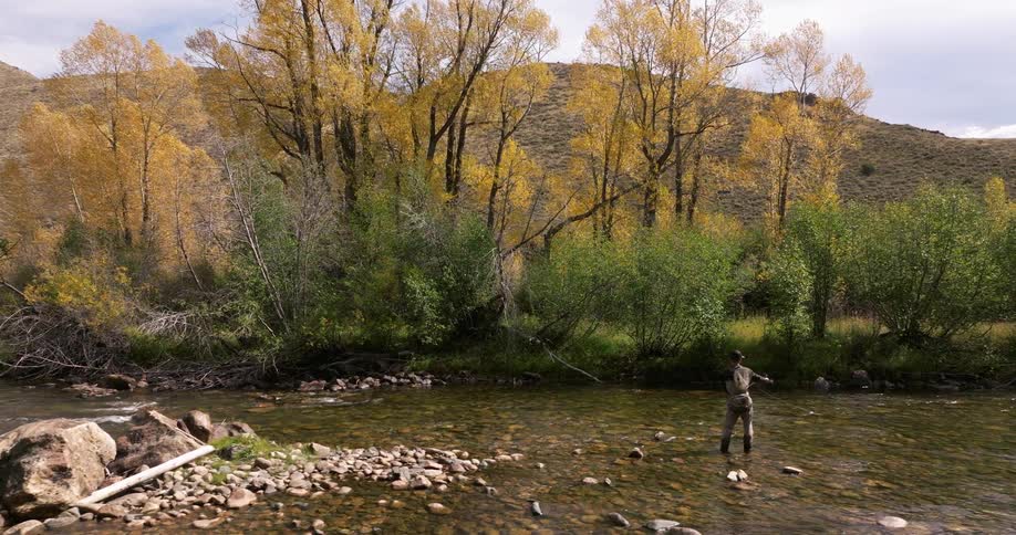 Angler fly fishes in shallow autumn river