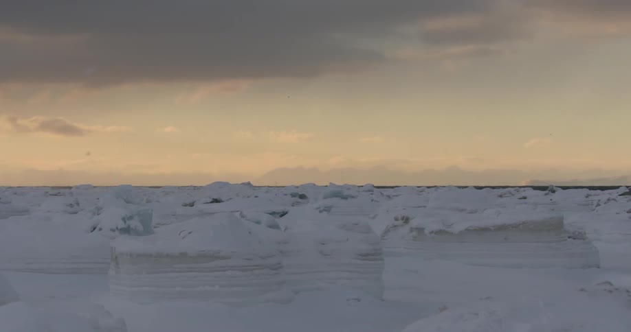 Birds fly above the snowy landscape