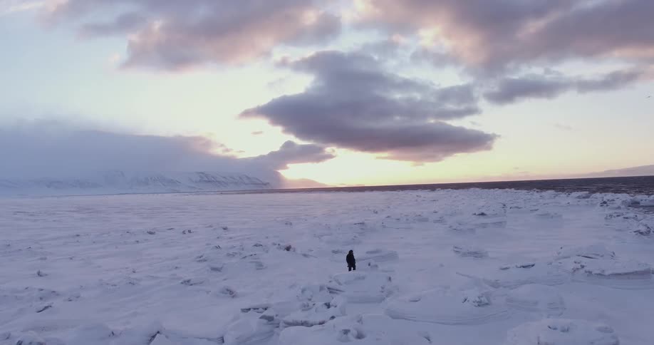 Person walking through snow covered arctic wilderness