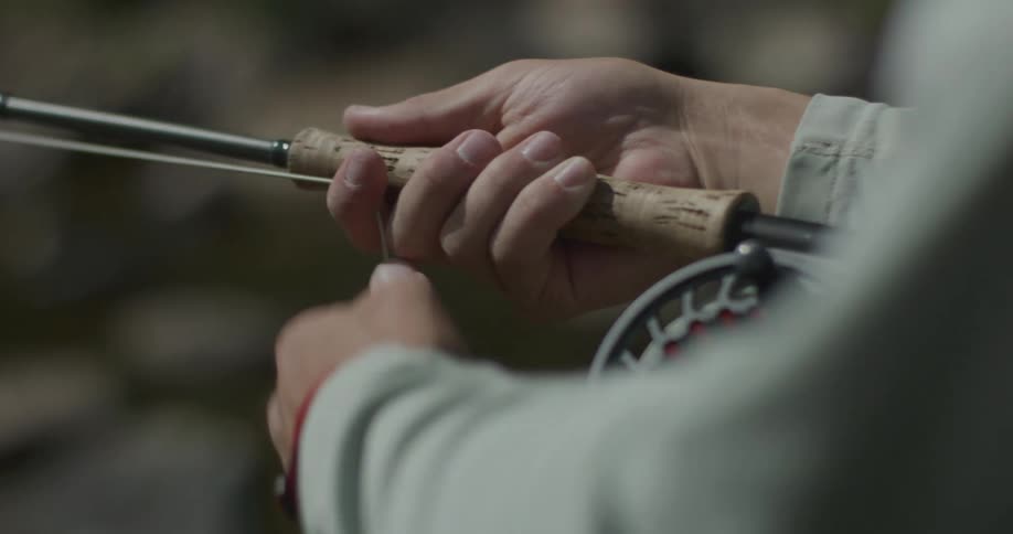 Pair of hands of a person guiding a fishing rod