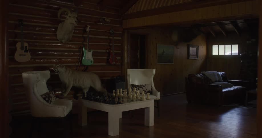 Dim rustic cabin with taxidermy guitars and a chessboard setup