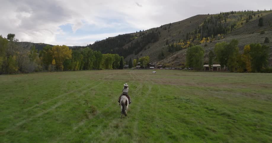 Woman horseback riding on a large open field in the country