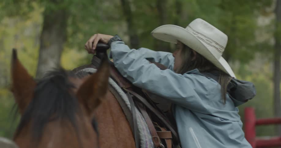 Woman adjusting the belts on a brown horse