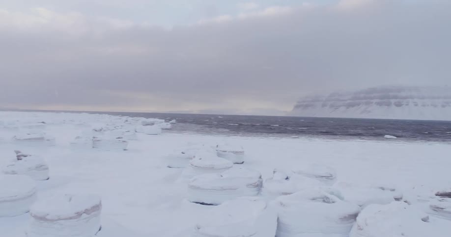 Cold ocean waters meeting up to snow covered arctic ground