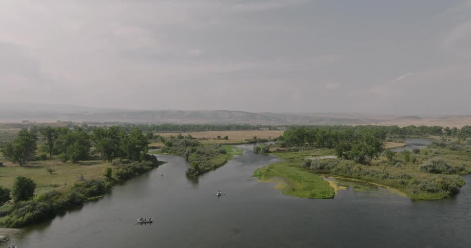 Small boats move through the water near the green trees
