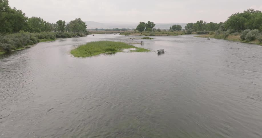 Aerial view of a lake along with a field and scattered trees around it