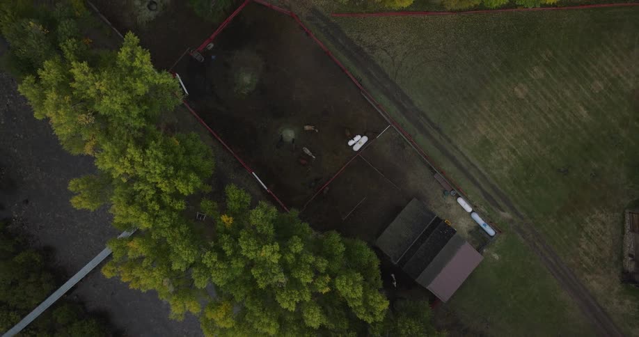 Aerial of horses moving around in a paddock in front of a building in a rural area during daytime
