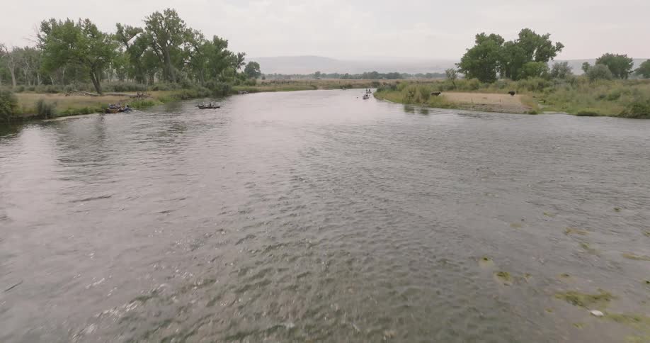 The stream is shallow with rough water
