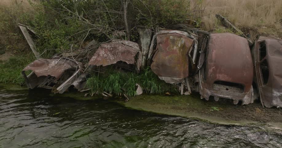 Rusty car shells line the edge of a waterbank near overgrown vegetation