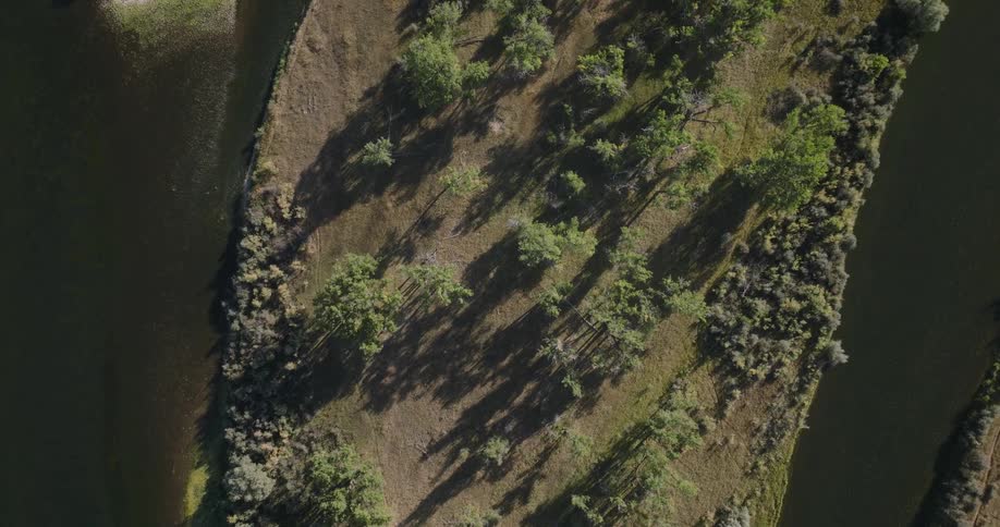 River winds around a peninsula while the trees standing on it cast long shadows