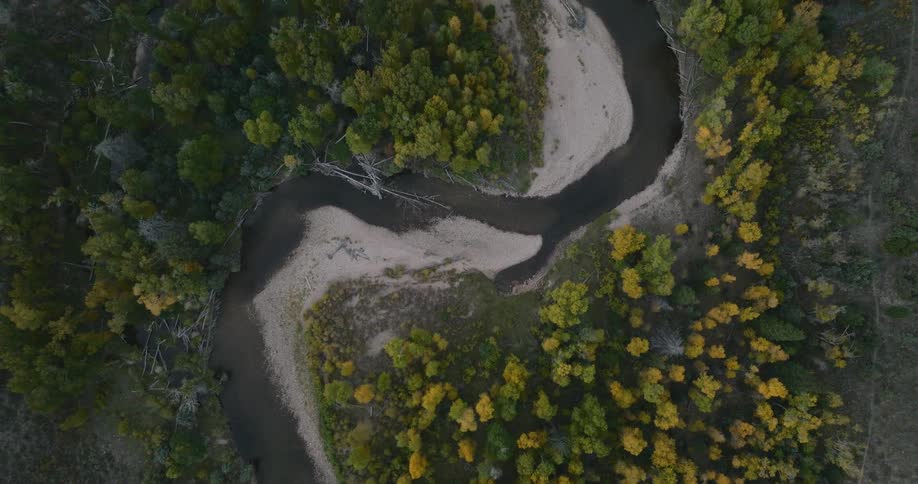 An overhead aerial view reveals a winding river through a dense forest with a mix of vibrant golden and green trees