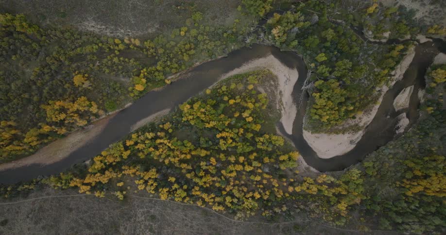 A winding river cuts through a forest of green and yellow foliage in a top down view