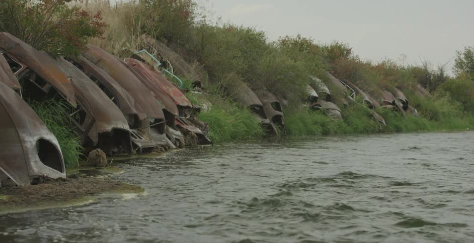 Rusting car shells line the grassy riverbank in a haunting display of decay