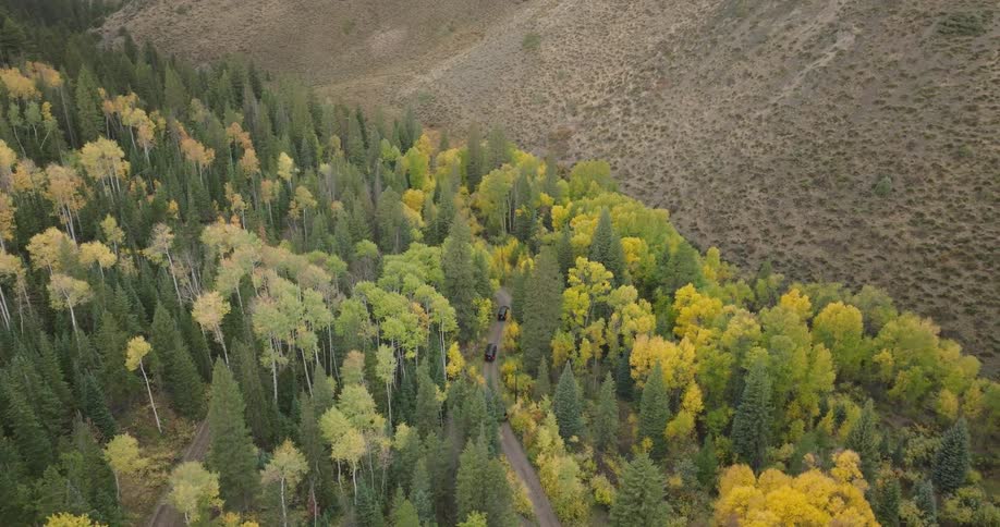 Aerial view of a dirt road winding through autumn forest in the mountains