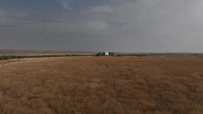The farm has a long field of yellow grass